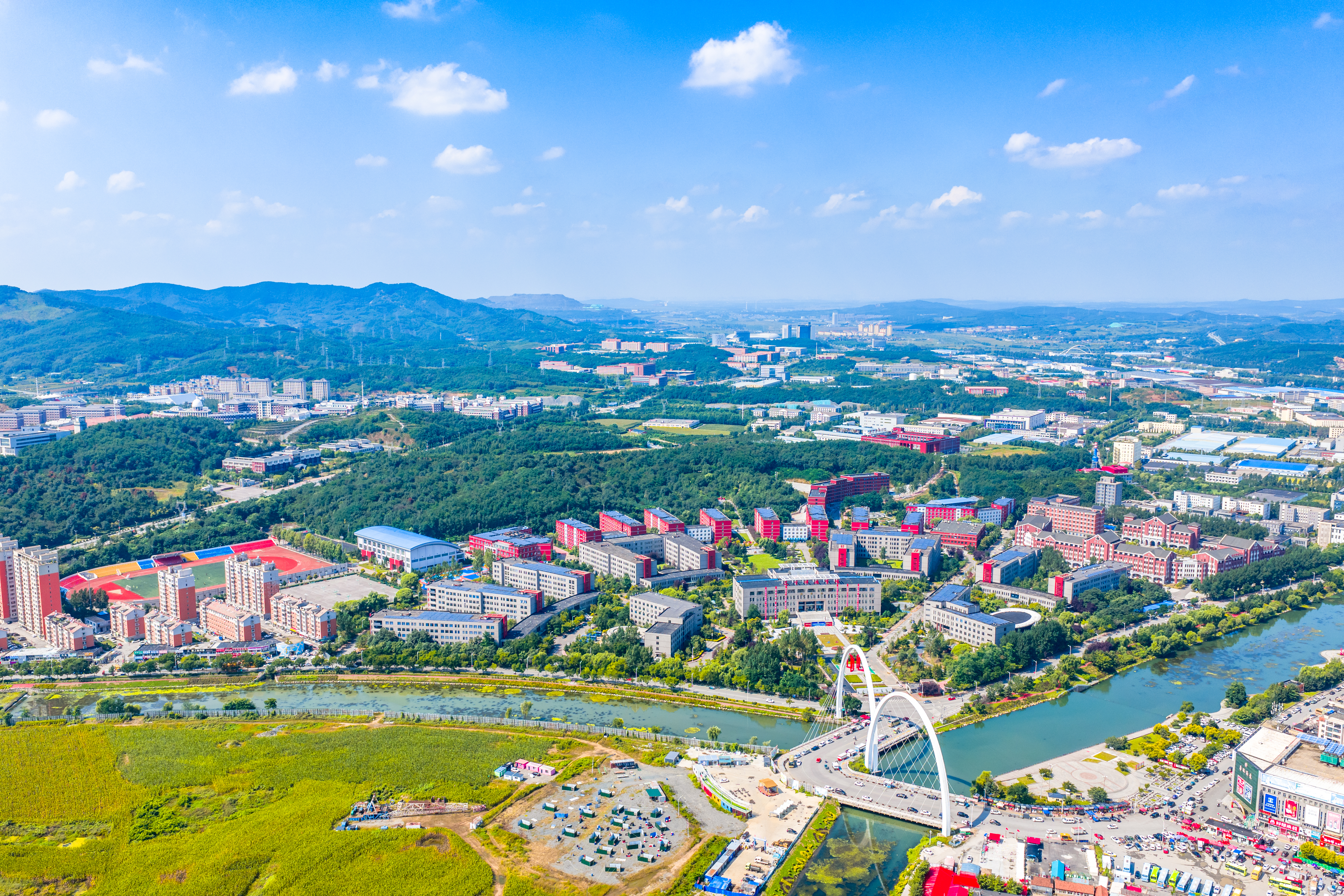 Compare the impact of purity differences of different brands of organotin T-9 on the pore size and uniformity of polyurethane foam